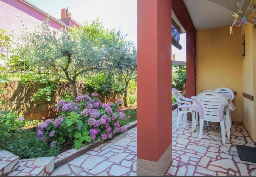 Valentina Apartment Novigrad  Exterior photo